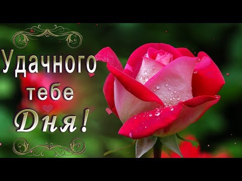 🌹Доброго Дня Отличного Настроения 