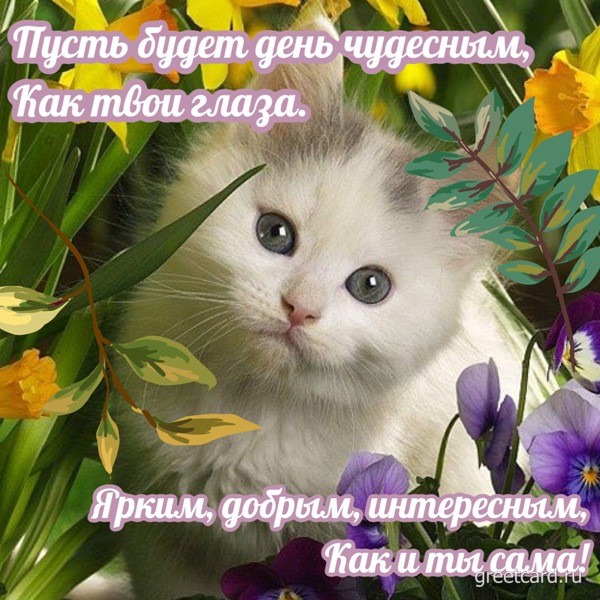 🌸🌞💗Доброго утра благословенного дня!💗Красивое музыкальное 