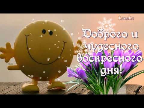 😃 Доброе воскресное утро