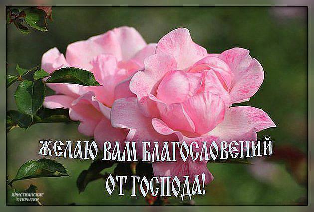 🌞🙏💓Доброго утра благословенного дня 