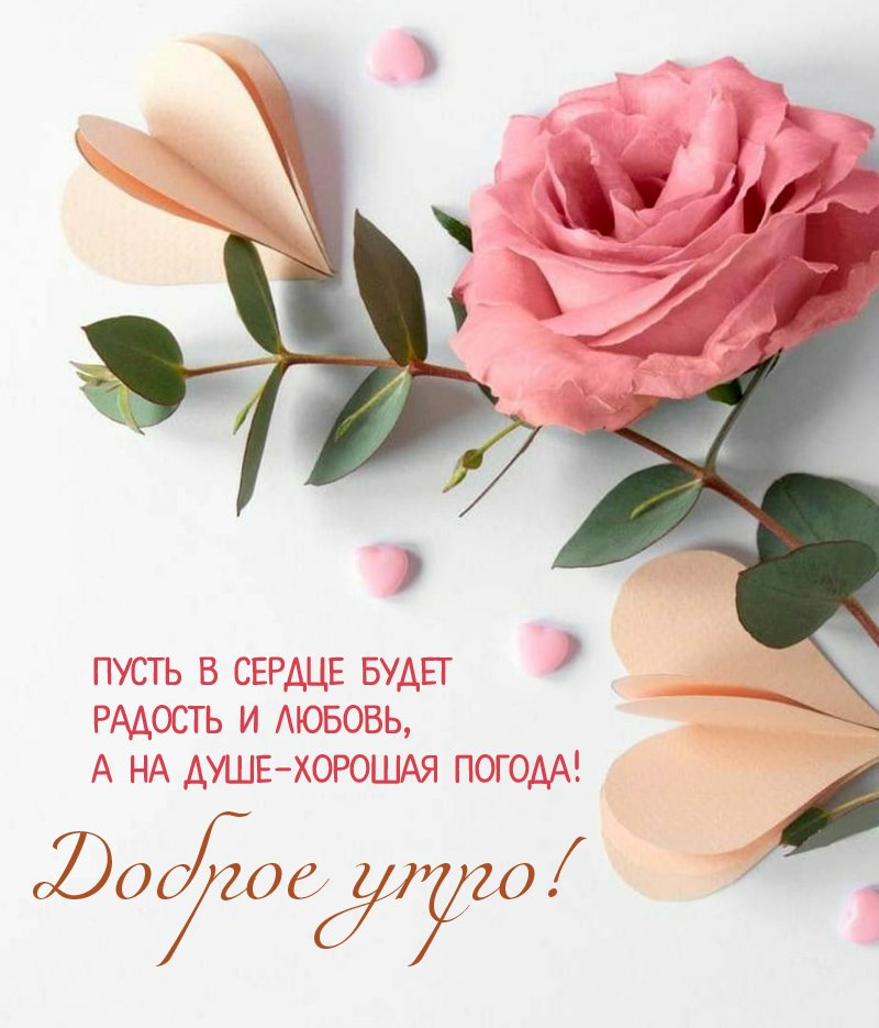 ❤️❤️❤️ Доброе утро, любимая ❤️❤️❤️ 