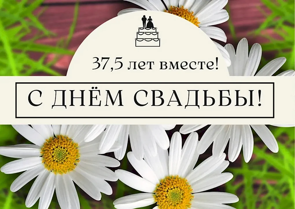 Поздравление с годовщиной свадьбы 5 лет 