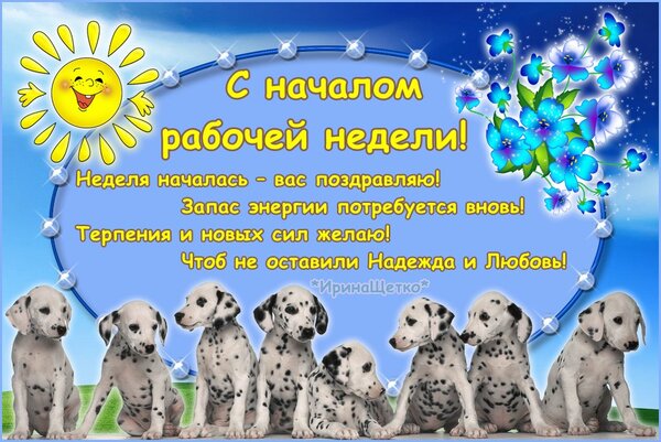 🌺 Замечательной пятницы! 