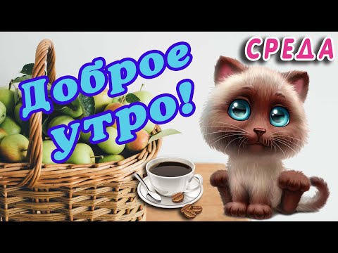 Доброй среды картинки и открытки прикольные