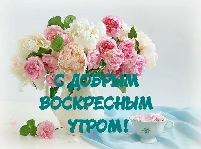 Доброе воскресное утро 🤗