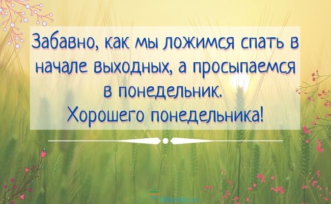 Заставки понедельник 