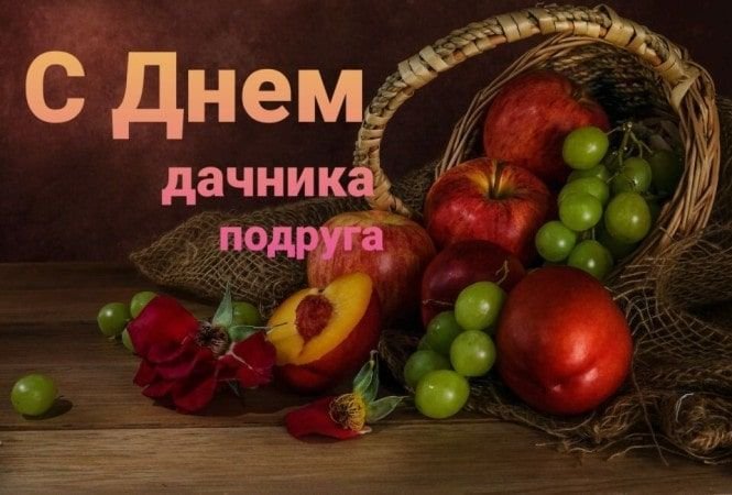 Открытки с Днем рождения дачнику