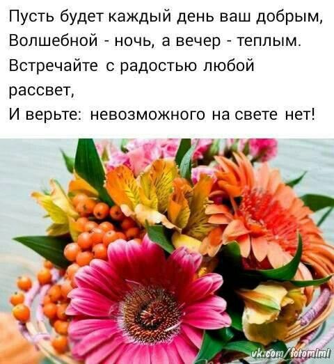 Вдохновляющие цитаты в картинках