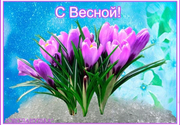 Какие цветы цветут весной первыми 