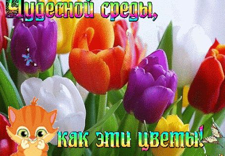 Нежное поздравление для весенних именинников !