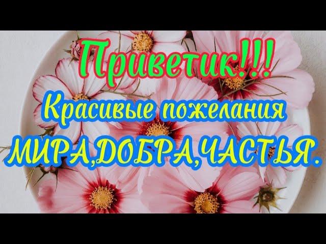 С Рождественским Сочельником 