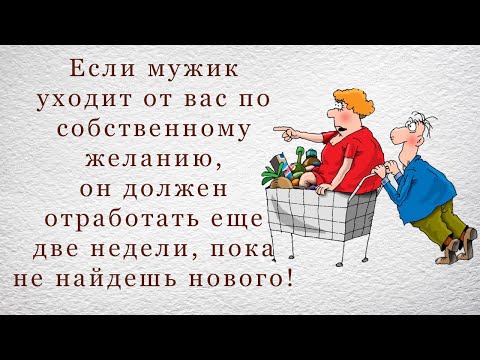 вот это тонкий юмор--позитив! — Сообщество «Позитивов☺зы» на 