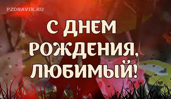 Поздравления с днем рождения любимому мужу — проза, стихи 