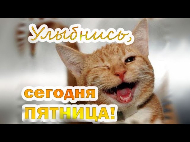 Картинки с Добрым утром пятницы 50 штук