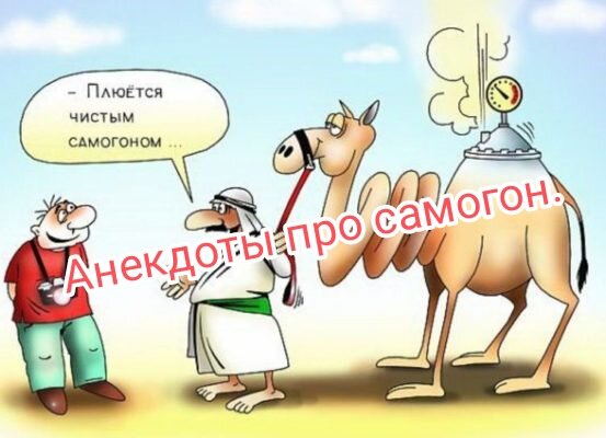 Напитки, алкогольные и не очень 