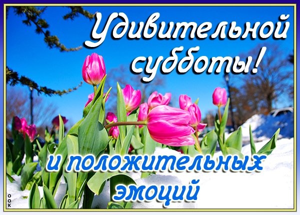 С субботой!/ Доброе утро, суббота!/ С добрым утром!/Хороших 