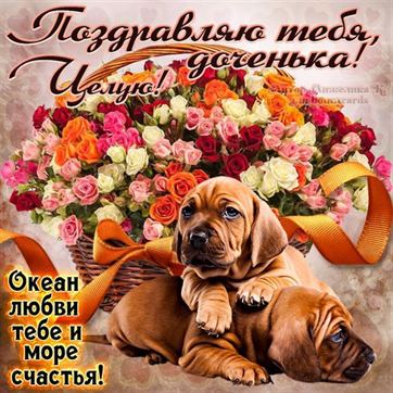 🌹КРАСИВОЕ ПОЗДПАВЛЕНИЕ🌹