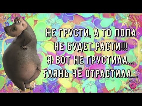 Прикольные картинки Веселые для 