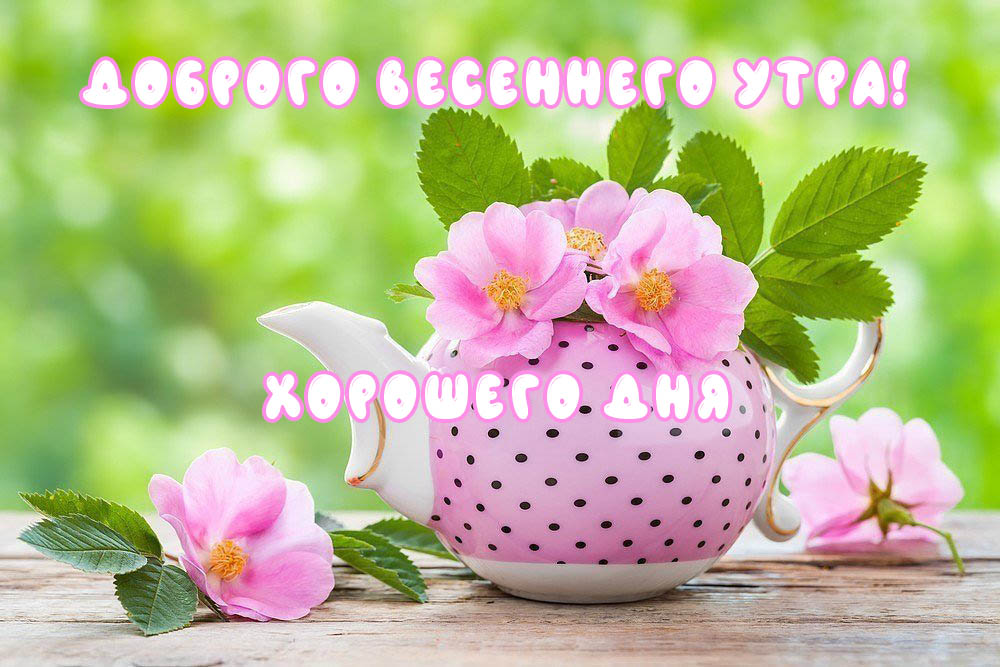 🌞🌼☕Самого доброго весеннего утра 