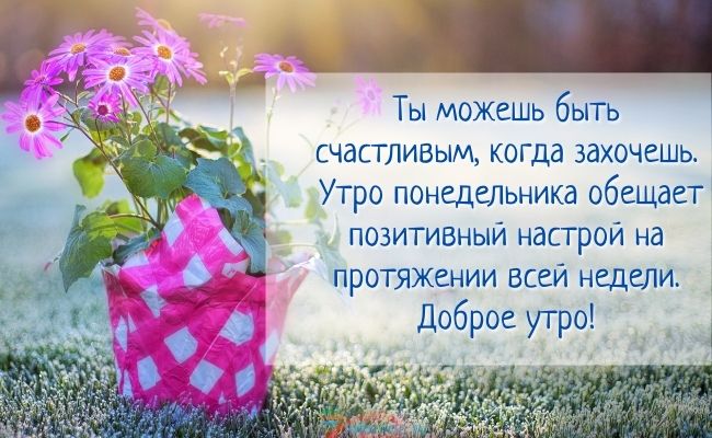 Картинки Доброе утро понедельника