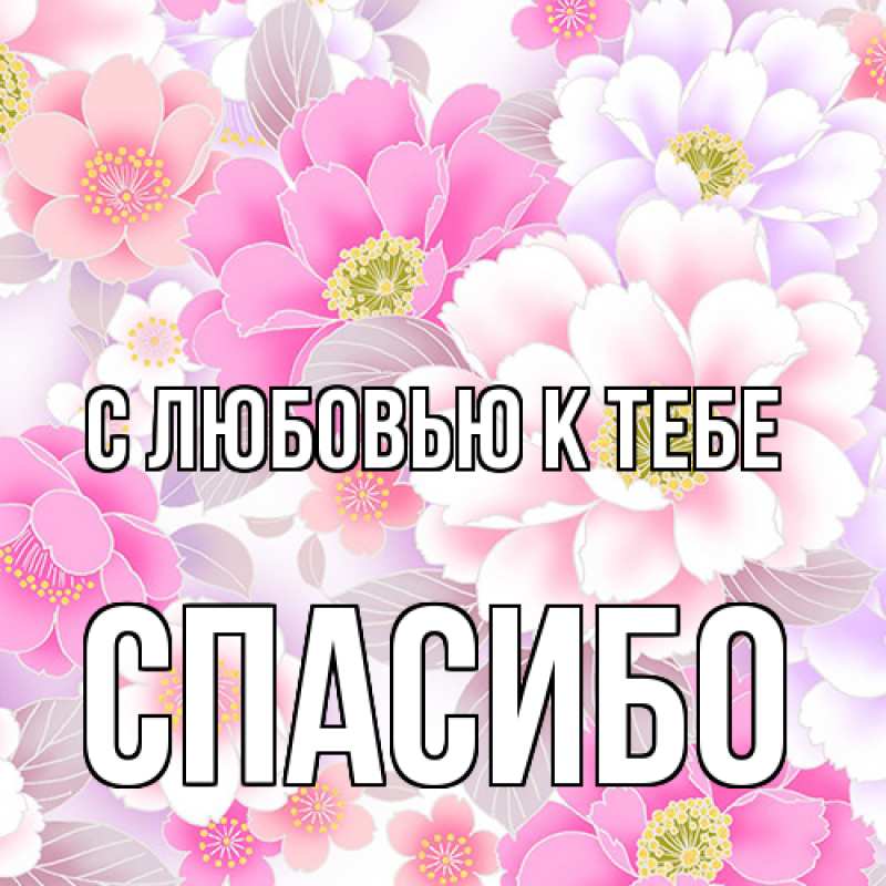 Красивые открытки 