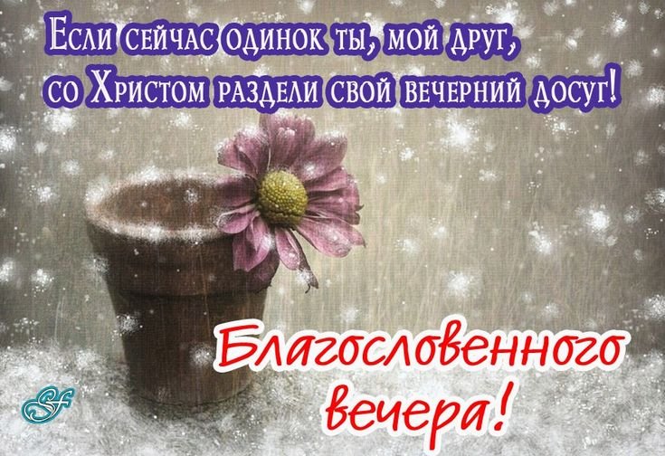 Доброго вечера среды🌼 