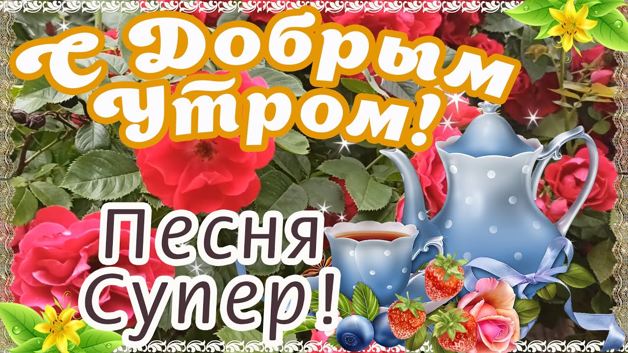 С добрым утром!#добрыепожелания #прекрасногонастроения 