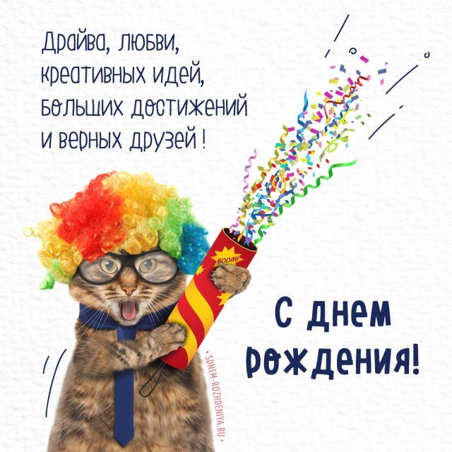 Открытка с котиком «Открытка тому, у 