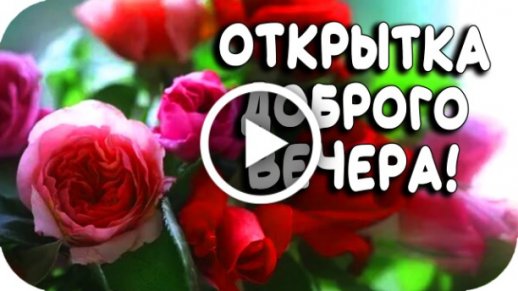 Добрый вечер ‣ Видео поздравления открытки