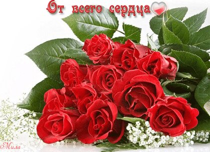 Обои цветы, розы, букет, flowers, спасибо, bouquet, roses 