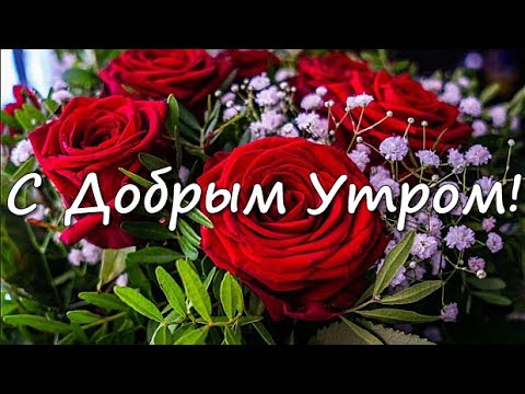 Доброе утро