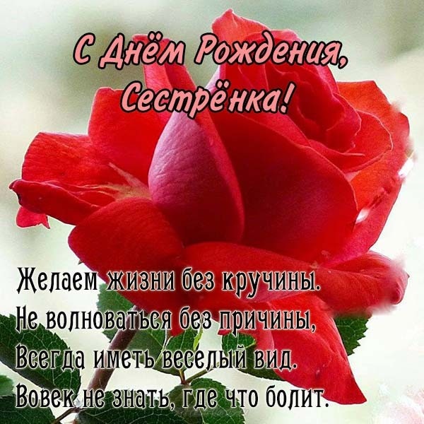 С Дня Рождения Сестра Сестра 