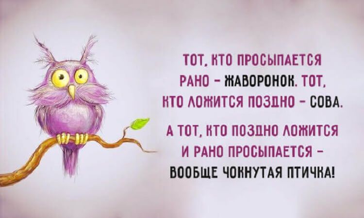 Смешные цитаты для позитивного настроения 