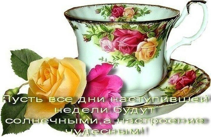 🌺 С понедельником! 