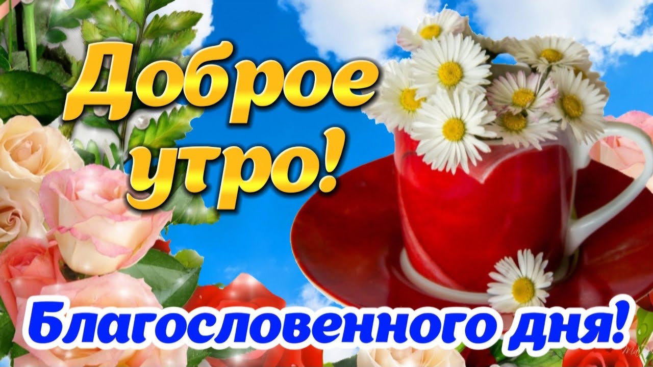 Открытка Благословенного дня! Доброе утро! Мира и добра Вам!