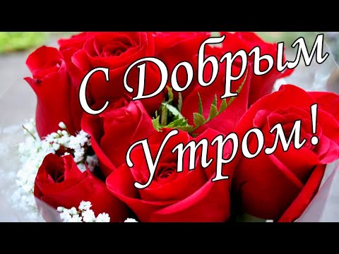 С добрым утром пятницы картинки 