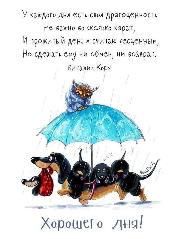 Доброе утро 💕