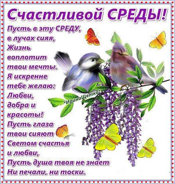 🌺 Счастливой среды! 