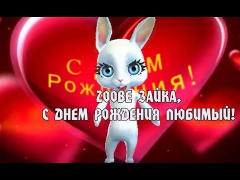 Zoobe Зайка, с днем рождения любовь моя 