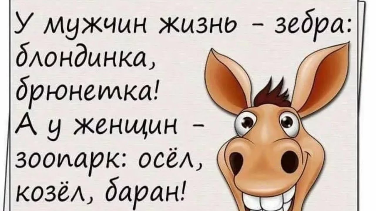 Прикольные картинки доброе утро Субботы 50 картинок 