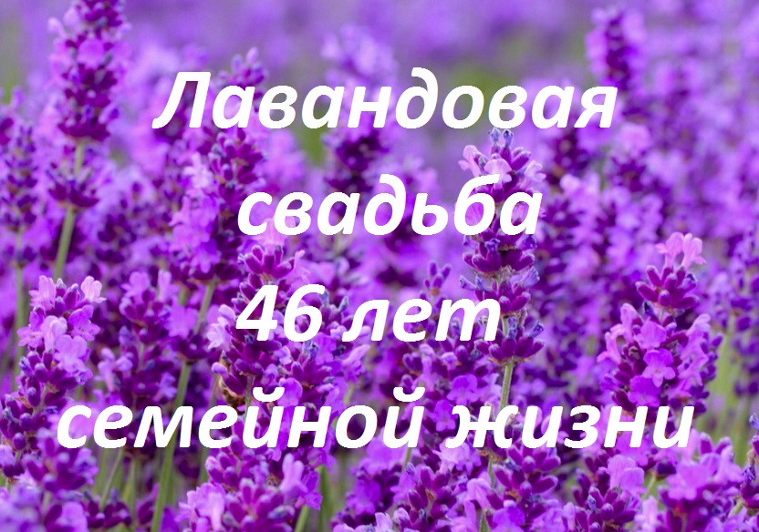 Какие цветы дарят на годовщину свадьбы 