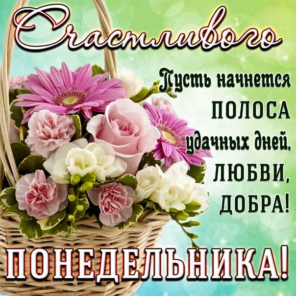 Отличного дня! Удачной недели! Красивое пожелание! Лёгкого 