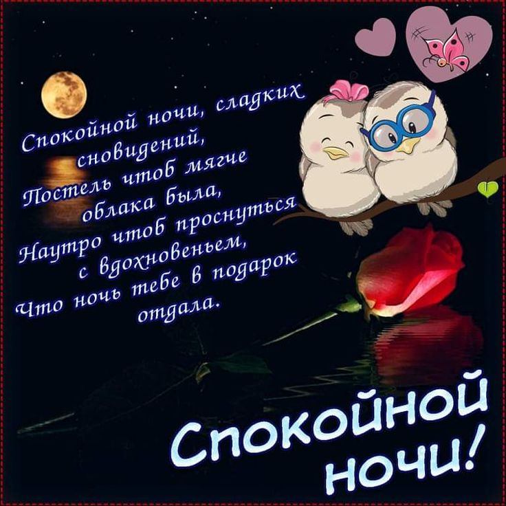 Спокойной ночи! Сладких снов 