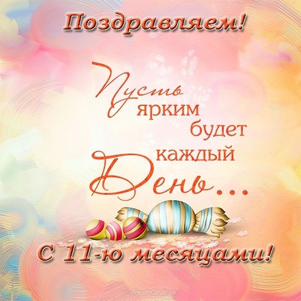 11 месяцев