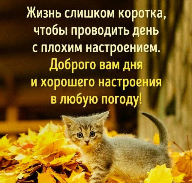 Красивые картинки Со смыслом душевные для женщины короткие 22 