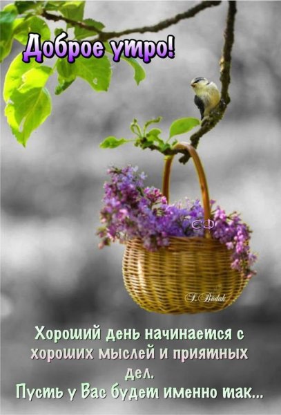 Весна 🌿🌸🕊Короткое стихотворение 💭 Доброе утро и позитив 