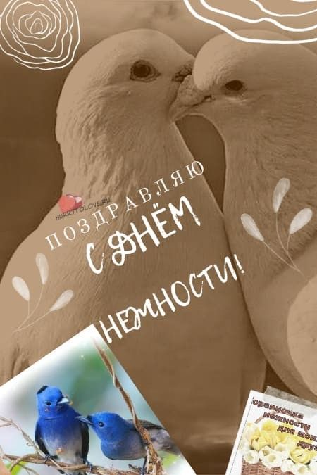 Нежные открытки на День Рождения 