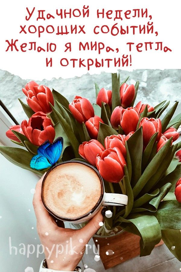 Отличной недели! 💐 