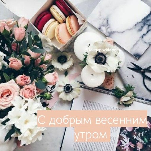 Утренние картинки, чтобы пожелать 