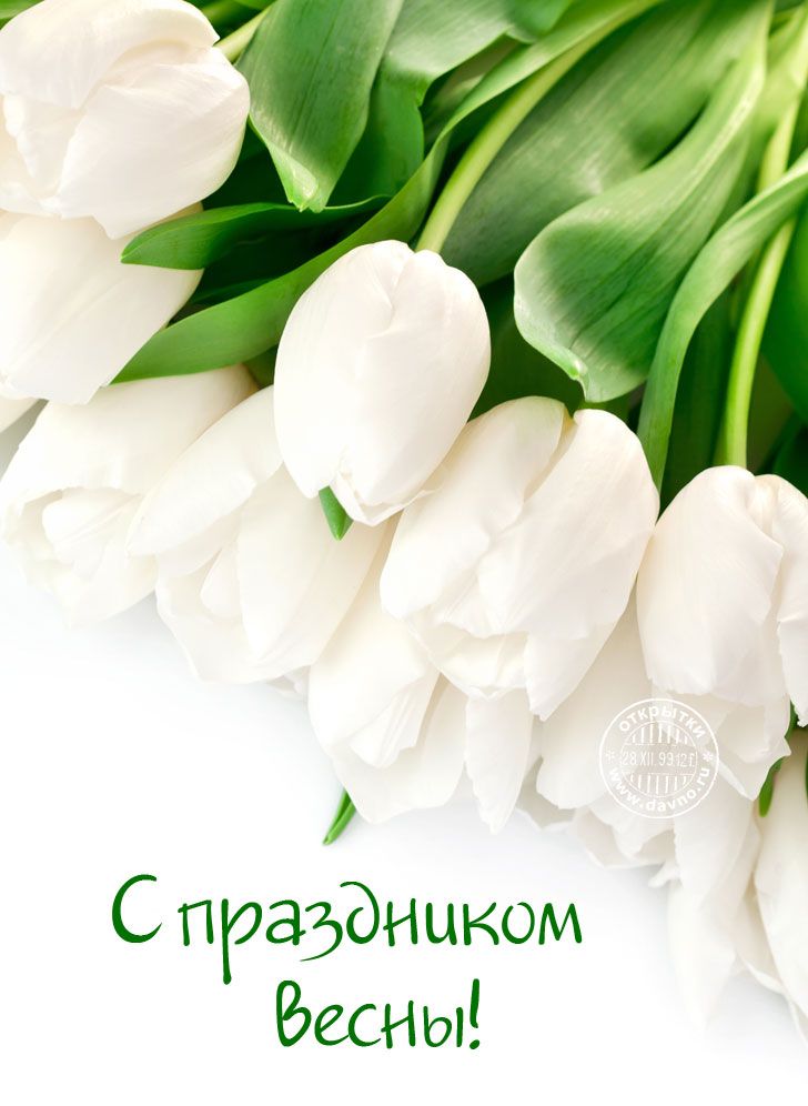 С весенним днем рождения🌷рожденным ВЕСНОЙ🌷С ДНЕМ РОЖДЕНИЯ 